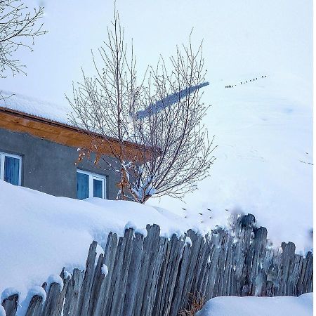Guest House Data Ушгули Экстерьер фото
